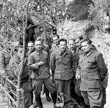 krvoloci.jpg (19,7kb)